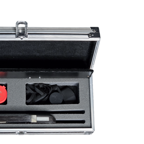 Case HMD-Arcuș HMD-Arcuș foto